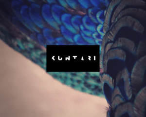 KUNTARI feat. Rully Shabara - Plausible Pulse